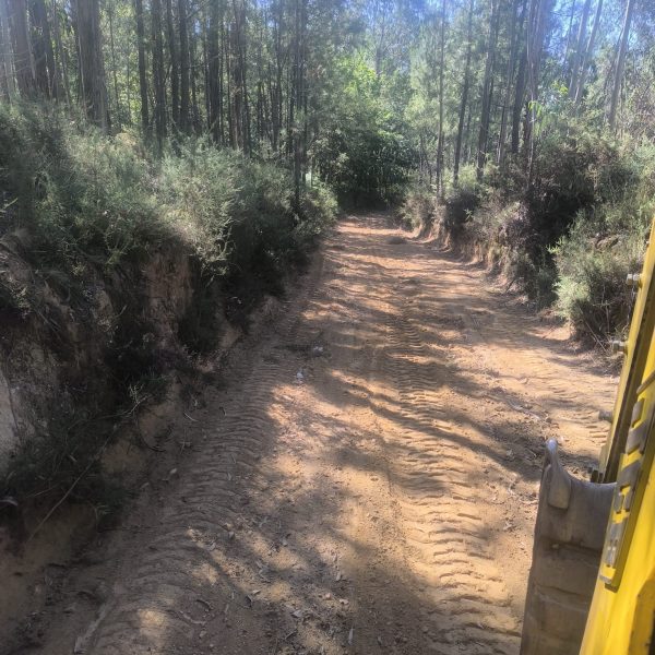 Limpeza de caminhos florestais para a época de incêndios