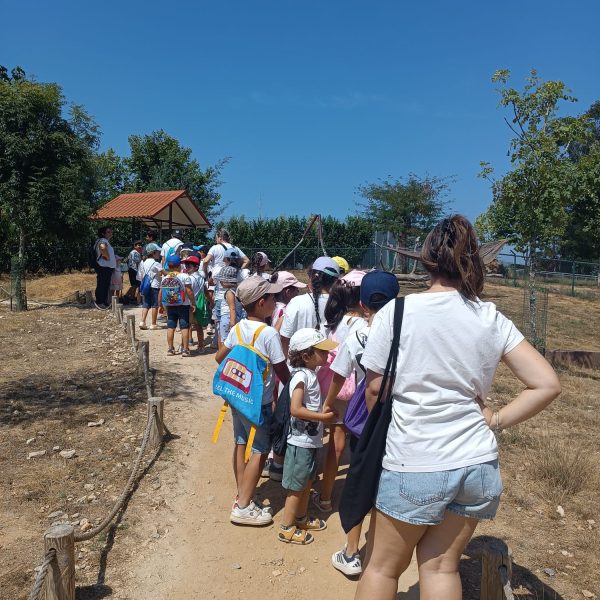 ATL em Visita ao Zoo Santo Inácio